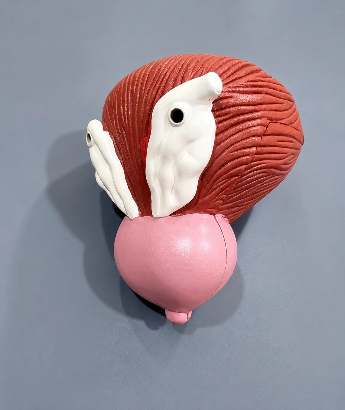 Pa image